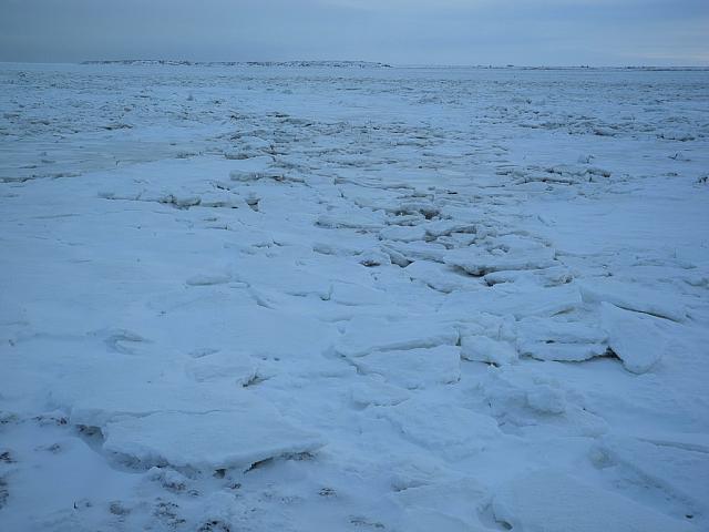 Pack ice on the coast of Hudson Bay near Churchill ..