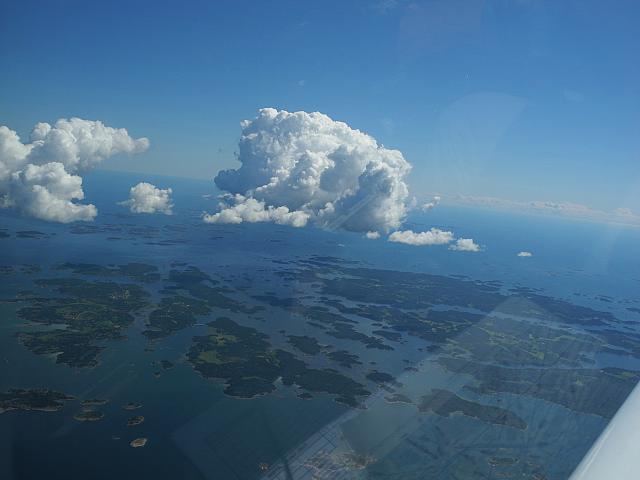 Wild boars over the Finnish coast