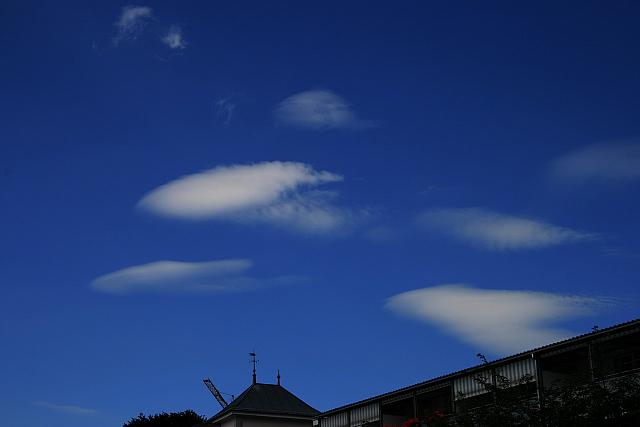 flying fishes over lake Thun