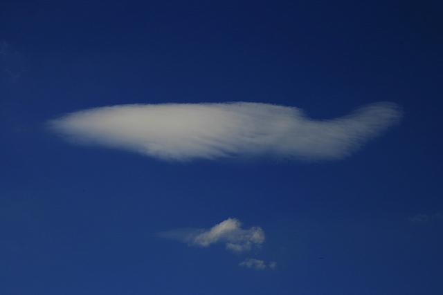 flying fishes over lake Thun