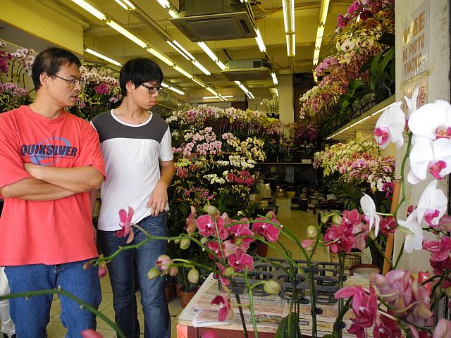 Flower Market