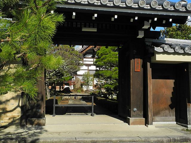 Bamboo Grove Kyoto