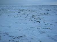 Pack ice on the coast of Hudson Bay near Churchill ..