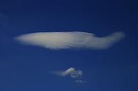 flying fishes over lake Thun