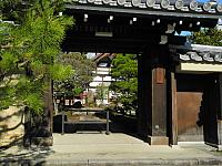 Bamboo Grove Kyoto